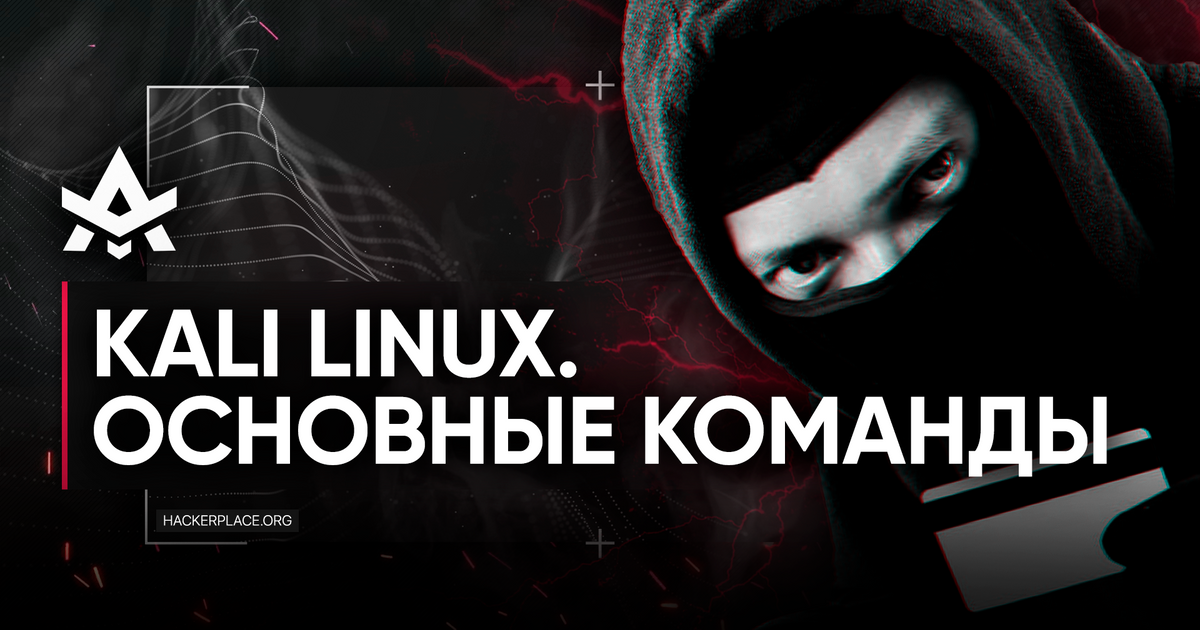 Kali Linux для новичков. Основные команды. Часть 2 — Teletype