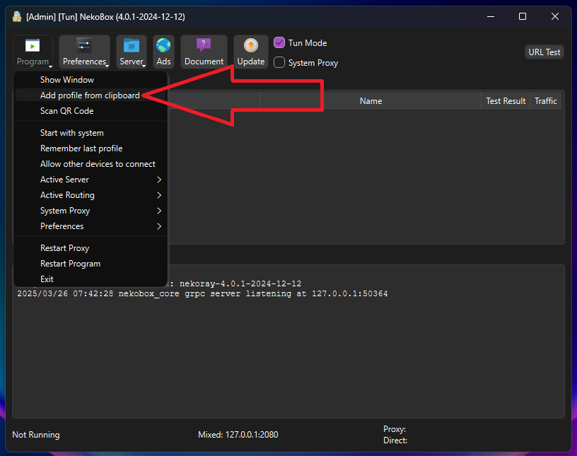 Инструкция по подключению VPN Vless и ShadowSocks для ПК — Teletype