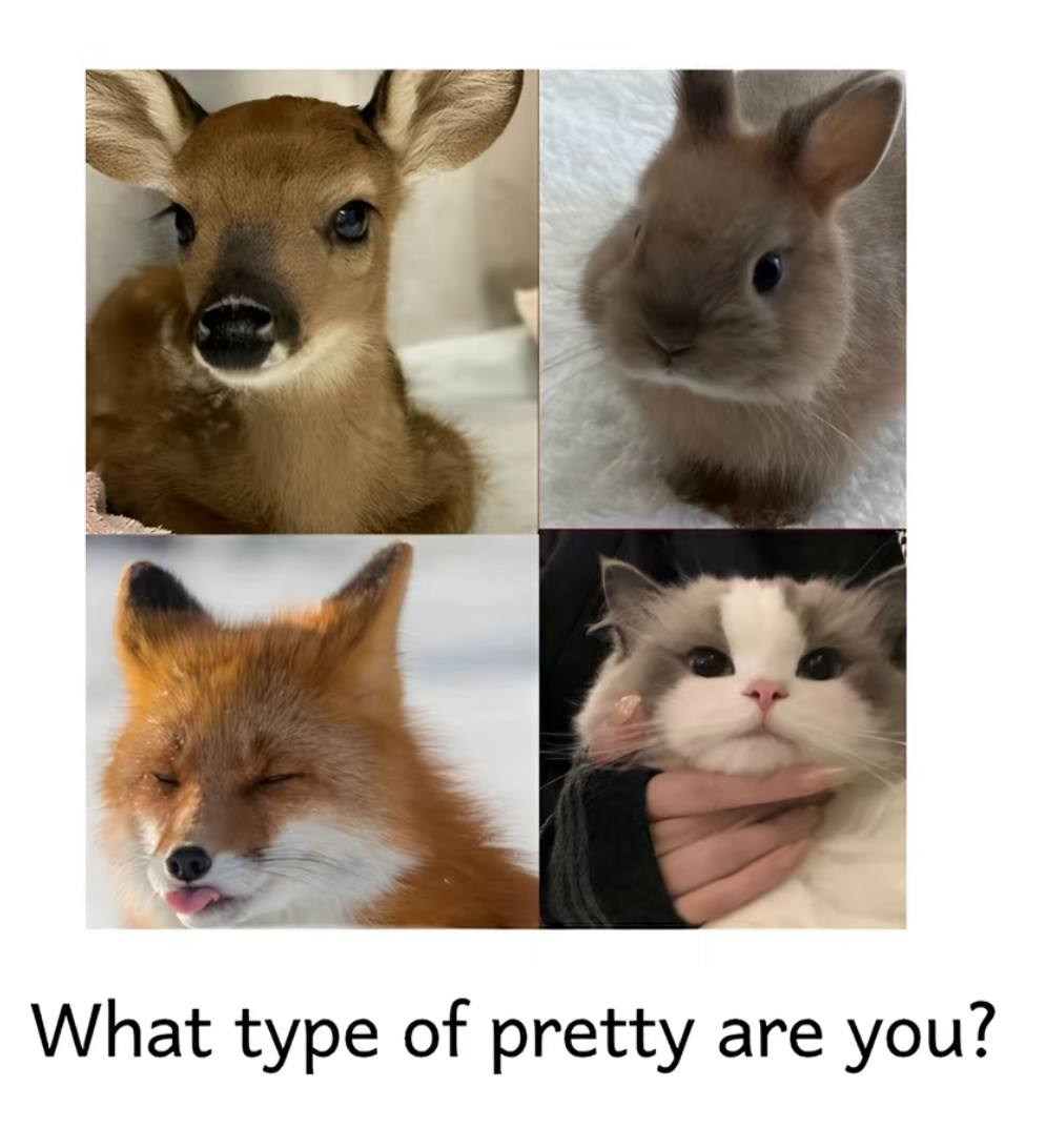 Корейская система типажей Animal Face — Teletype