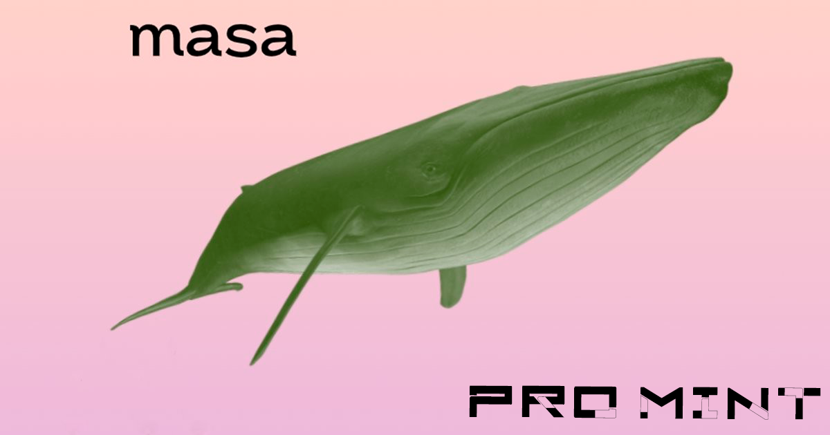 Masa Node guide — Teletype