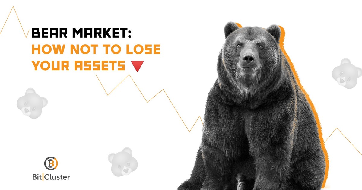 Guide: how to behave during bear market 📉🐻 — Teletype