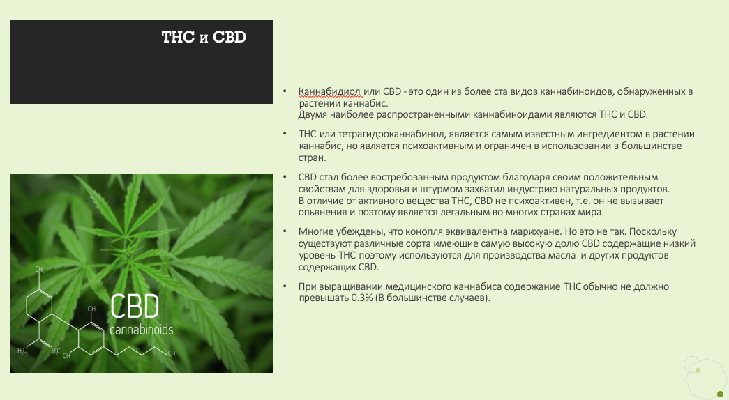 Разрешена в испании марихуана семена сады россии интернет магазин каталог 2022