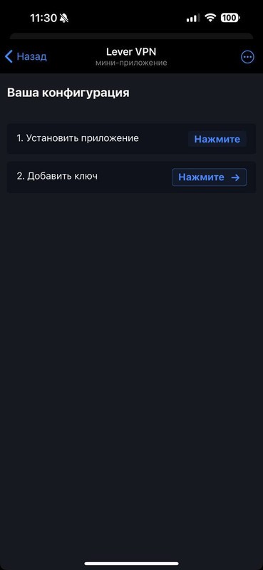 Общая инструкция по использованию Lever VPN на всех устройствах — Teletype